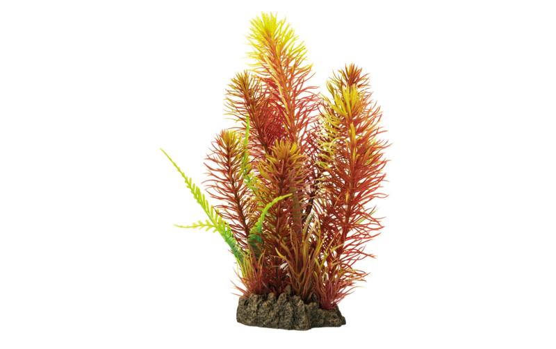 Superfish Art Plant 25cm Myriophyllum Red