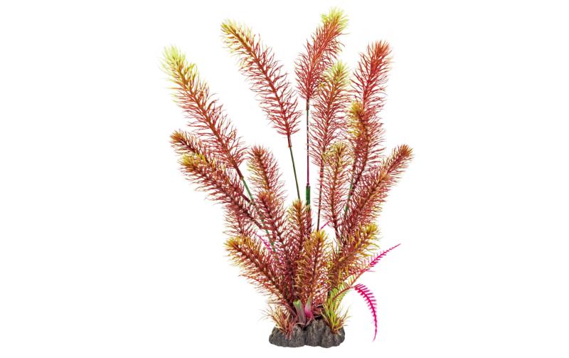 Superfish Art Plant 40cm Myriophyllum Red