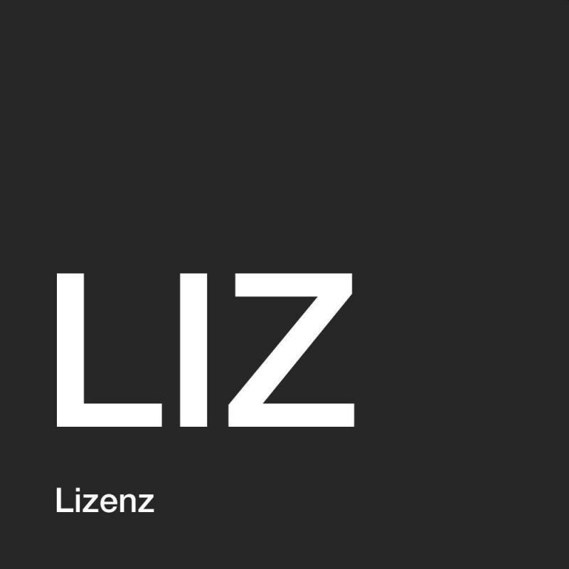 MS Liz Project Pro