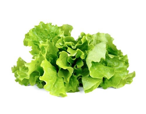 Click and Grow Grüner Salat