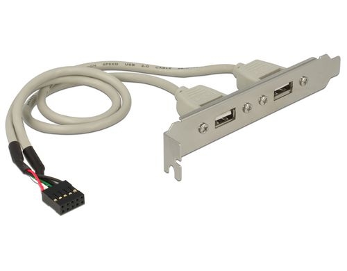 Delock Slotblech USB 2.0 Pin Header