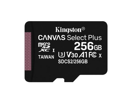 Canvas Select Plus microSDXC Card 256GB