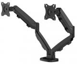 Fellowes Doppel-Monitorarm ESI Eppa