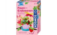 Feen-Erdbeeren