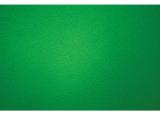 Westcott Green Screen 2.7x3m