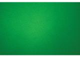 Westcott Green Screen 2.7x6m