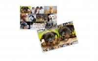 Herma Schreibunterlage Hunde