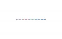Paulmann MaxLED 250 Stripe 1m RGBW