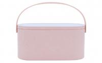 Ailoria LED Spiegel mit Beautycase rose