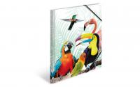 Herma Sammelmappe A4 Papagei