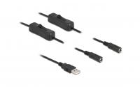 Delock USB-AStecker zu 2x DC 5.5x2.1mm,1m