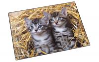 Läufer Schreibunterlage Katzen im Stroh