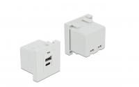 Delock Easy 45 USB Ladeportmodul, weiss