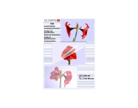 Olympia Laminierfolien DIN A6