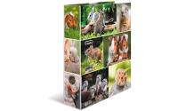 Herma Ordner 7 cm Nagetiere
