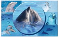 Herma Schreibunterlage Delphin