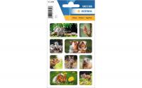 Herma Sticker Nagetiere