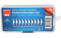 Max Hauri Feinsicherungs-Set 5x20mm