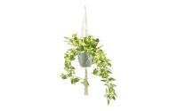 Dekomat Efeu im Topf mit Seil zum Hängen