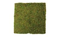 Dekomat Moosplatte 30x30 cm