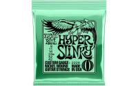 Ernie Ball 2229 Slinky Nickel