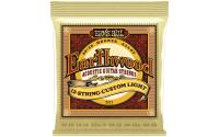Ernie Ball 2013 Earthwood Bronze