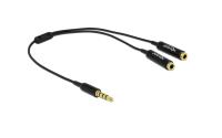 Delock Audio 3.5mm 4Pin Klinkenstecker 25cm