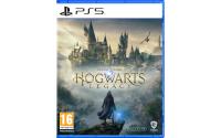 Hogwarts Legacy, PS5