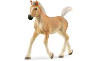 Schleich Haflinger Fohlen
