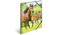 Herma Sammelmappe A3 Pferde
