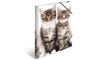 Herma Sammelmappe A4 Katzen