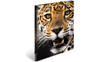 Herma Sammelmappe A4 Tiere Leopard