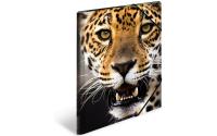 Herma Sammelmappe A3 Tiere Leopard