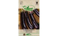 Samen Mauser Aubergine