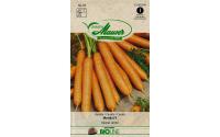 Samen Mauser Karotte