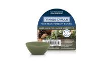 Yankee Candle Silver Sage & Pine