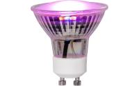 Star Trading LED Pflanzen GU10 MR16