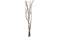 Star Trading Dekorativer Zweig Willow