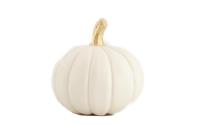 CHALET Dekokürbis 10cm