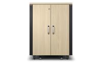 APC Netzwerkschrank 17HE Soundproof