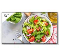 Sony FW-75BZ35L Public Display