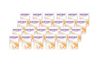 Kattovit Urinary Lachs 24x85g Kit