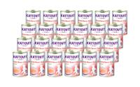 Kattovit Niere/Renal Drink Huhn Kit