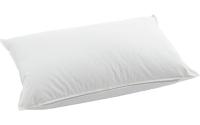 Swiss Dream Nature Pillow Basic 90 50x70 cm