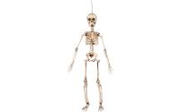 Halloween Skelett Beweglich