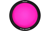 Profoto OCF II Gel - Rose Pink