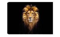 Wallxpert Bild Lion