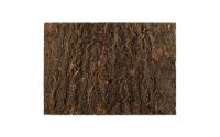 Repti Planet Kork-Rückwand 58.5x41x2cm