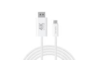 4smarts USB-C auf DisplayPort, 2m