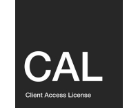 MS Liz Windows Server DevicCAL,YR1,1TZ